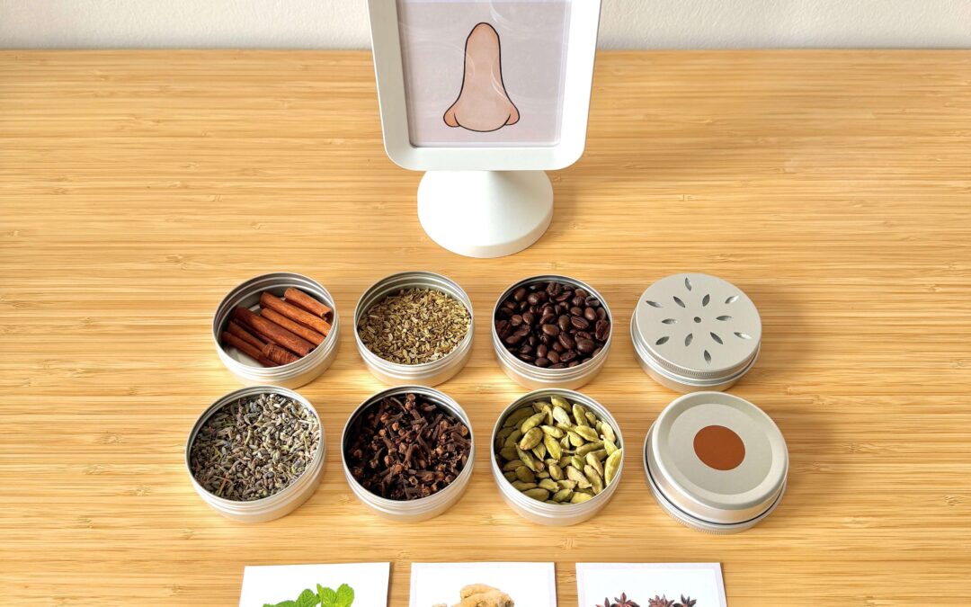 Die 5 Sinne – der Geruchssinn