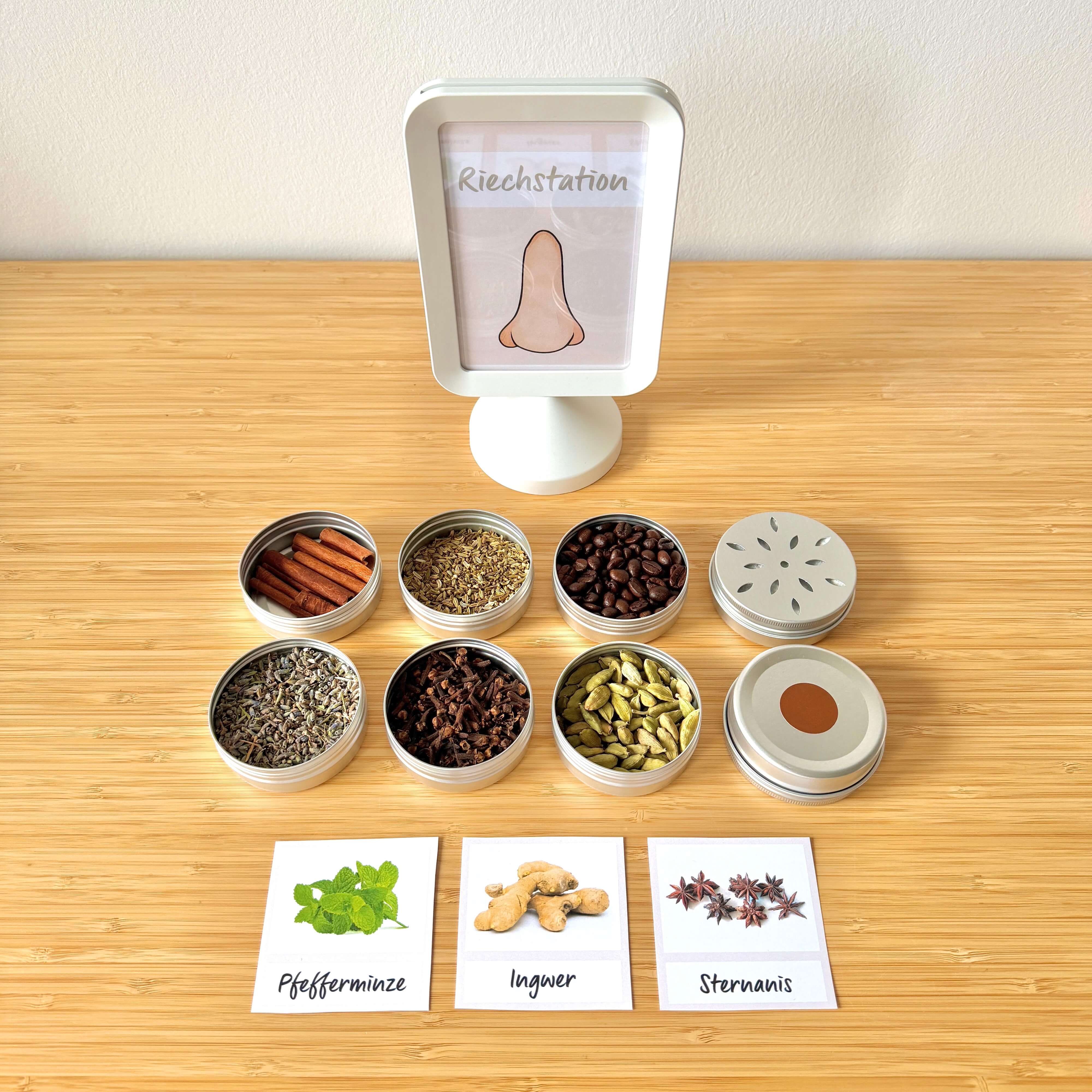 Die 5 Sinne – der Geruchssinn